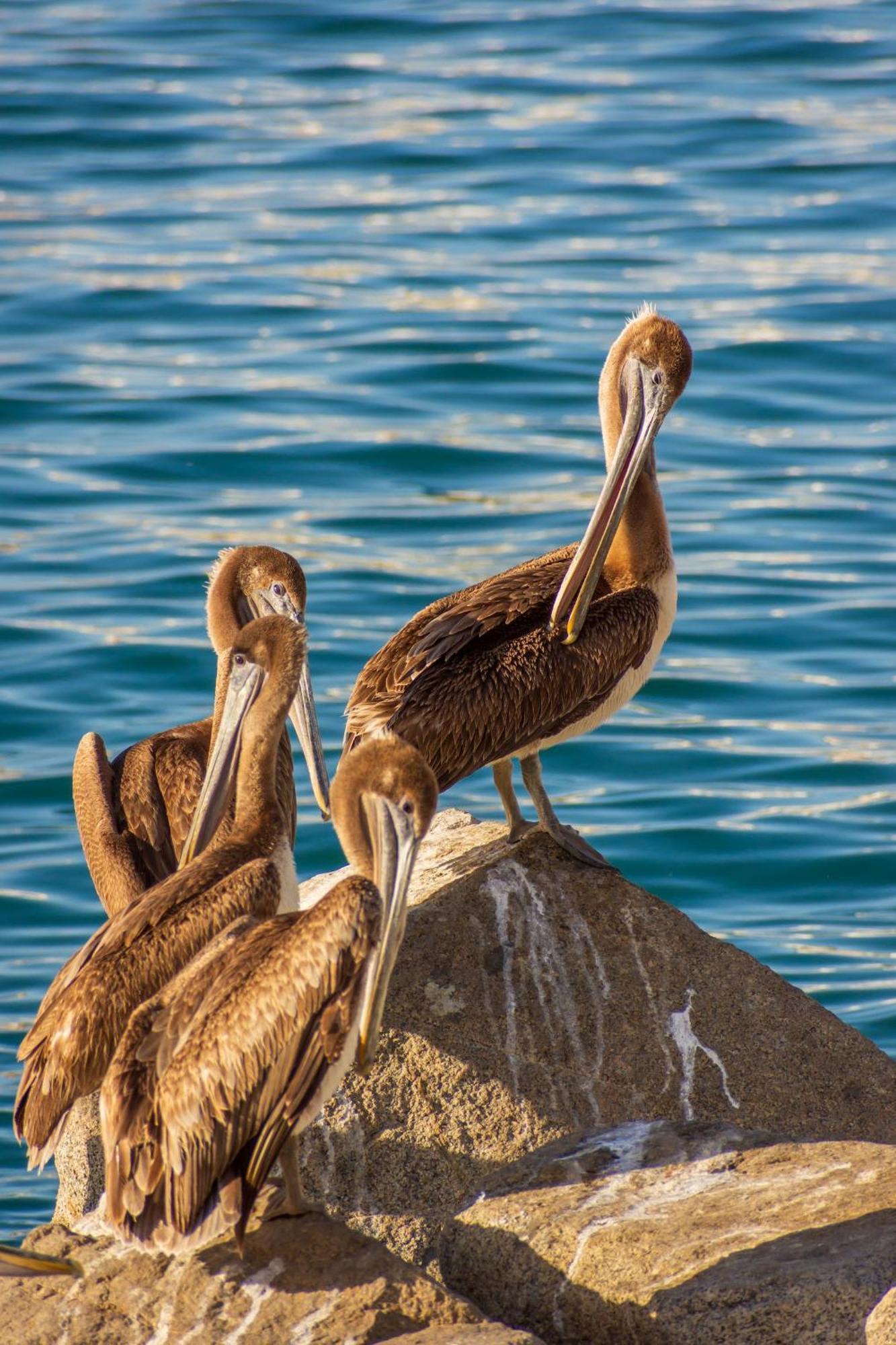 Morro Bay Beach Inn Esterno foto